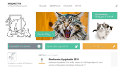 Desktop Screenshot of kynjakettir.is